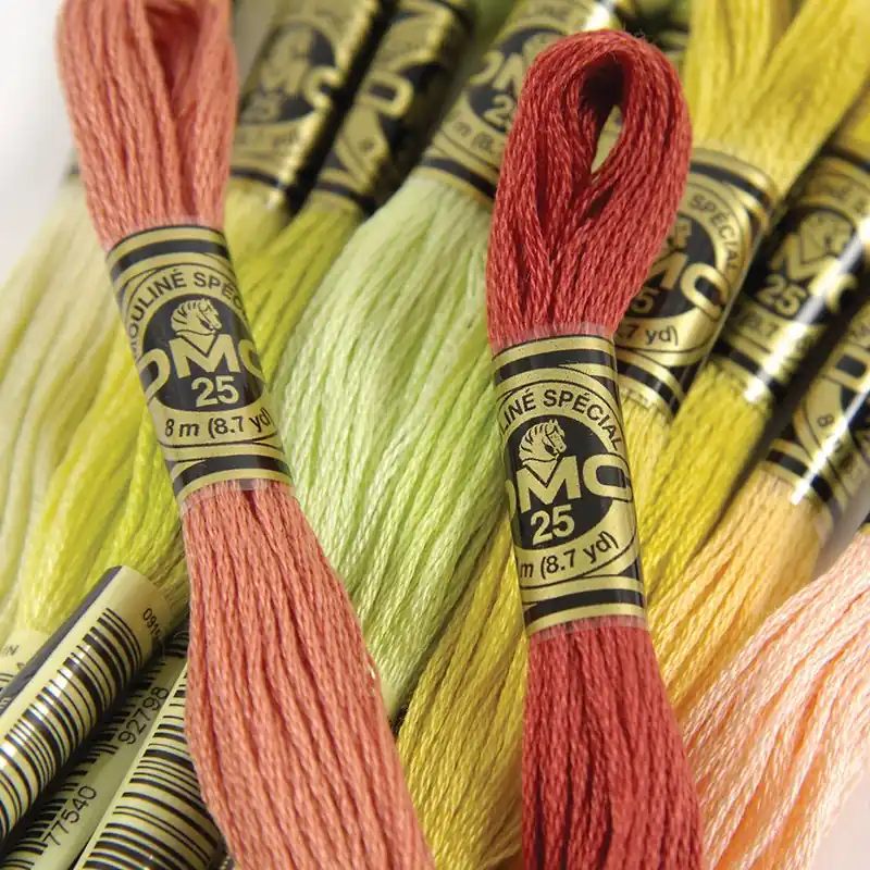 Nuovo arrivo | Filo per ricamo DMC Mouliné Spécial - Art.117
