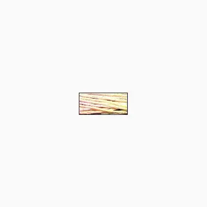 Compra subito | Summer Spray