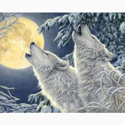 Promo lampo | 2 Wolves